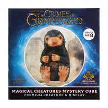 HARRY POTTER Magical Creatures Mystery Cube
