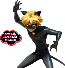 Miraculous CAT NOIR Dress Up Set