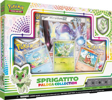 POKÉMON TCG Paldea Box Sprigatito